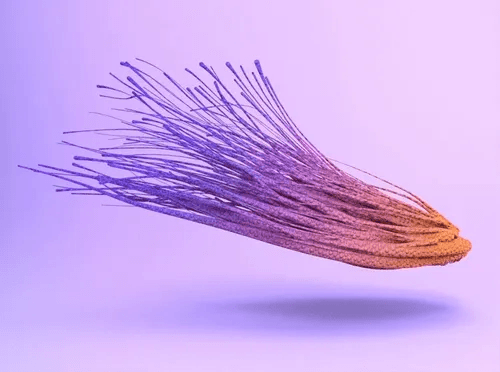 VR sneaker purple sketch