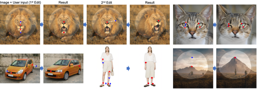 manipulating images with dragGAN GANs